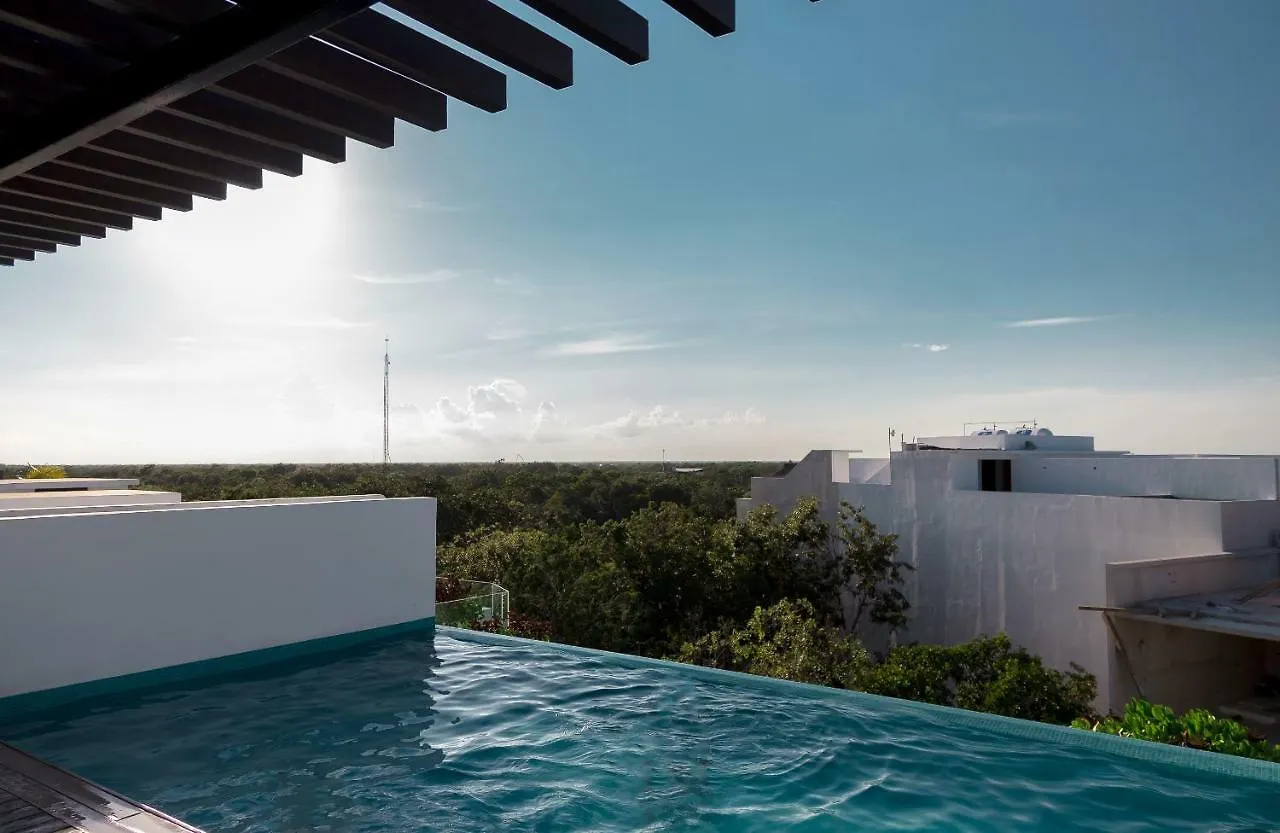 Quinto Sol Luxury Apartments By Mikitito Rentals 툴룸