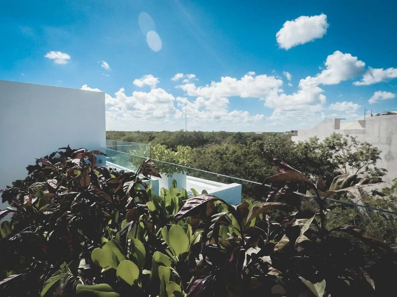 Quinto Sol Luxury Apartments By Mikitito Rentals 툴룸
